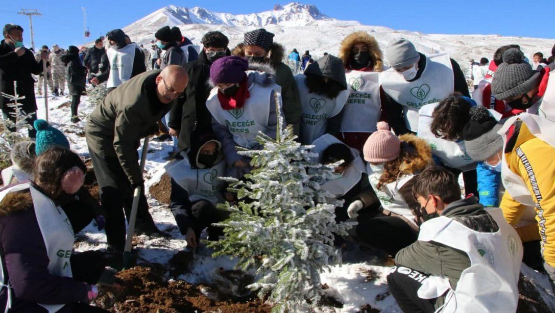 Öğrenciler Erciyes'te Ağaç Dikti