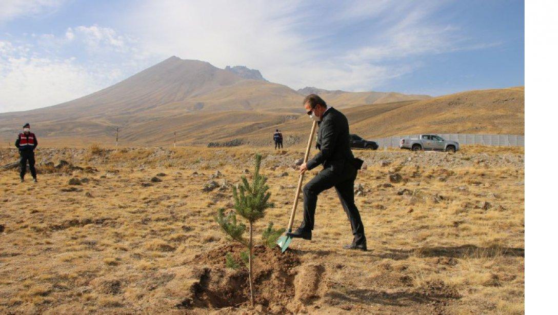 Cumhuriyetin 97. Yıl anısına İl Milli Eğitim Müdürümüz Sayın Celalettin EKİNCİ, Erciyes Dağına ağaç dikimi gerçekleştirdi.